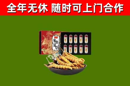 龙山回收冬虫夏草价格